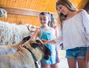 Girls with Sheep